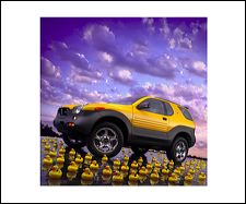 vehicross_ducks