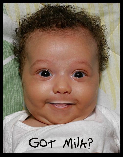 gotmilk.jpg